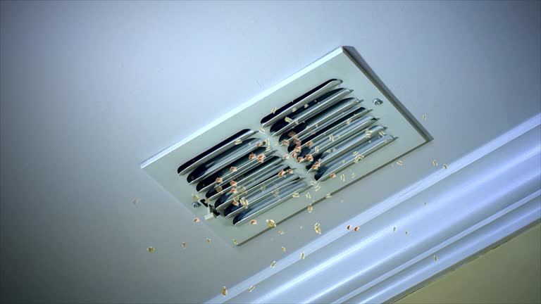 Best Dryer Vent Cleaning Services  in Strasburg, VA